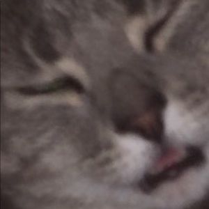 Meet your Posher, Ben